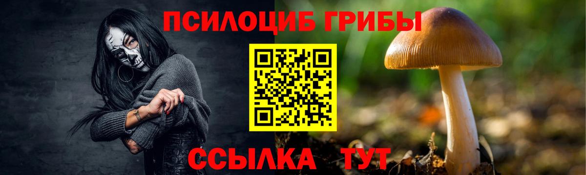 Псилоцибиновые грибы Psilocybine cubensis  Вход с VPN  Усолье-Сибирское 